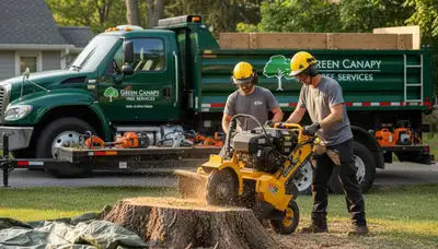 Arborist performing professional stump removal in Allentown, PA backyard with specialized grinding equipment