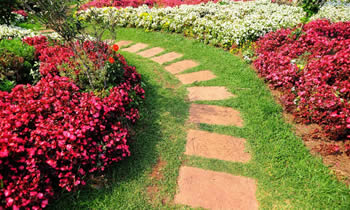 Landscaping in Allentown STATE% Landscaping Services in  Allentown STATE% Landscapers in  Allentown STATE% 