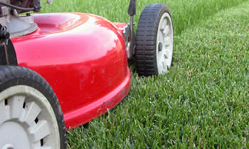 Lawn Care in Allentown PA Lawn Care Services in Allentown PA Quality Lawn Care in Allentown PA
