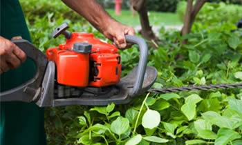 Shrub Removal in Allentown PA Shrub Removal Services in Allentown PA Shrub Care in Allentown PA Landscaping in Allentown PA